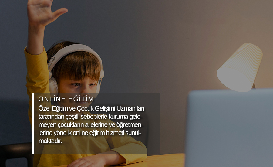 Türkiyede Bir İlk Özel Online Eğitimi